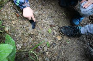 IMG_5137 (1024 x 669)